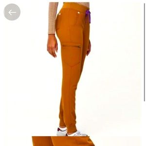 FIGS Atlantic Fall Zamora- Petite Jogger Scrub Pants